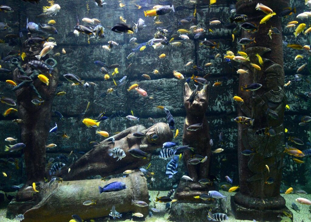 Antalya Aquarium tunnel with sharks and tropical fish Antalya Turkey