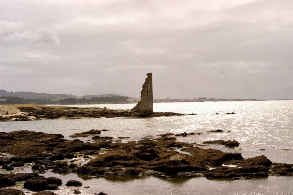 Ancient ruins on coastal rocks near a pine forest