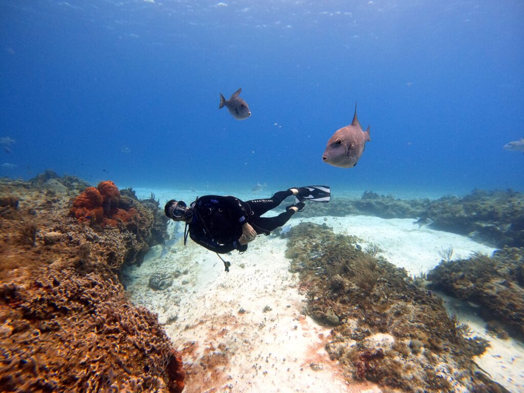 Scuba diver swimming with fish underwater near Kas