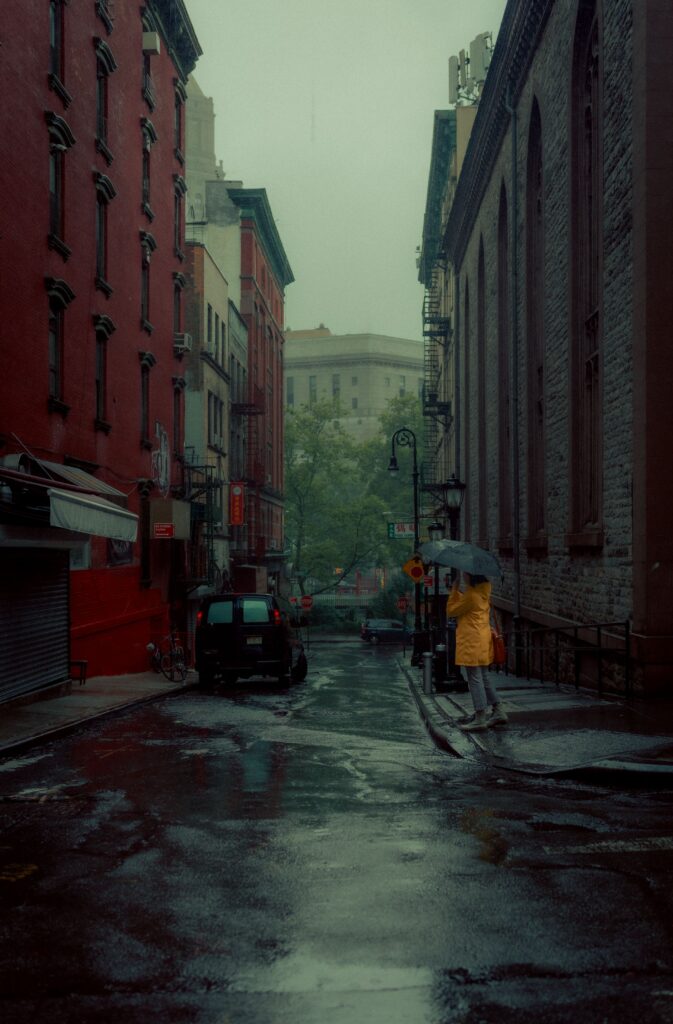 Woman with an umbrella on a street in the rain