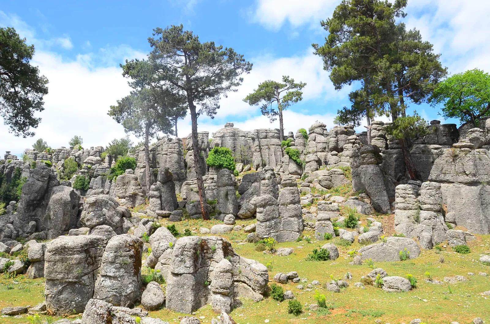 Adam Kayalar limestone rock pillars among pine trees on the road to Selge