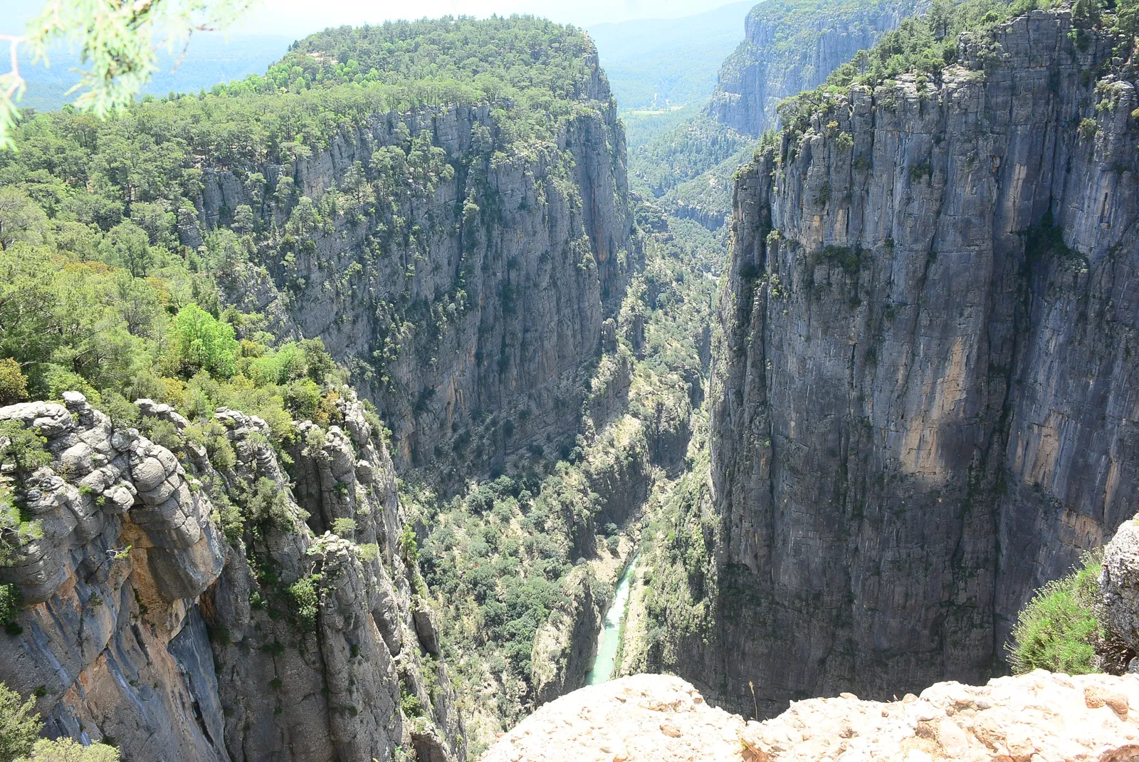 Sheer limestone cliffs of Tazı Canyon seen from the viewpoint in Köprülü Canyon National Park